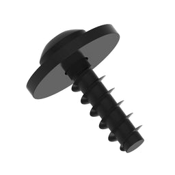 Screw With Washer