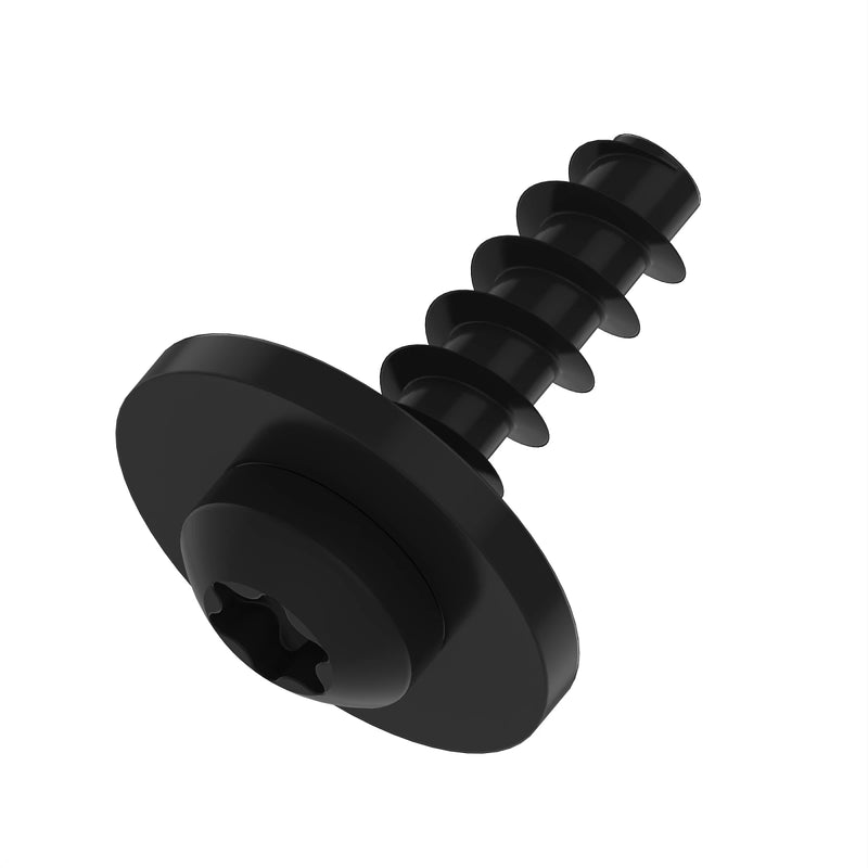 Screw With Washer
