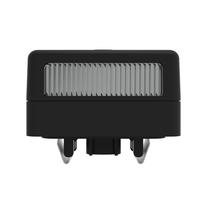 LAMP, LICENSE PLATE, ASSY