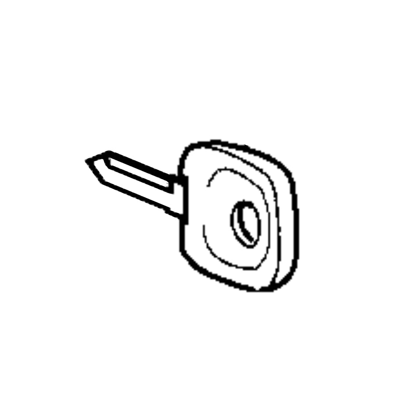DOOR KEY (1 PIECE UNWORKED)