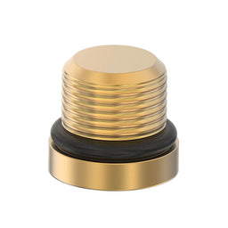 FITTING PLUG, SOC. HD. O'RING PLUG
