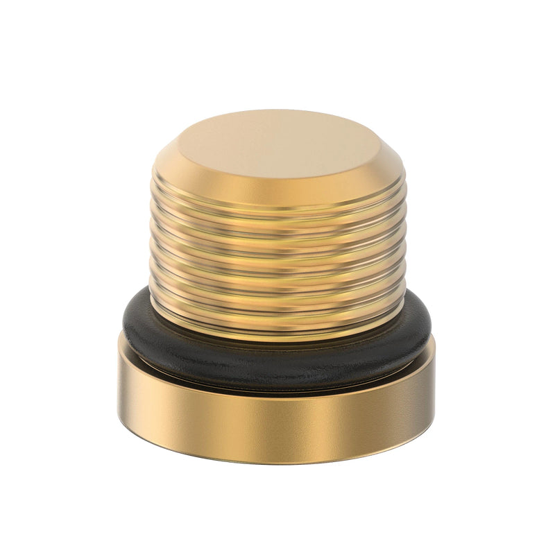 FITTING PLUG, SOC. HD. O'RING PLUG