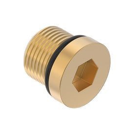 FITTING PLUG, SOC. HD. O'RING PLUG