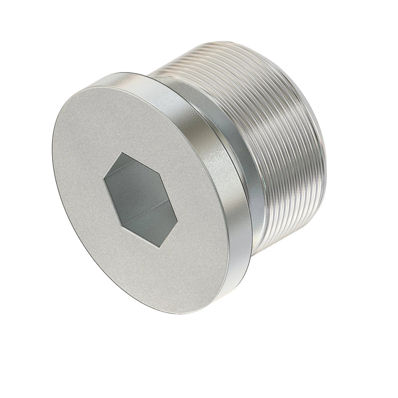 PLUG, DETENT