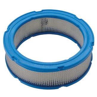 Briggs & Stratton Air Filter - 394018S