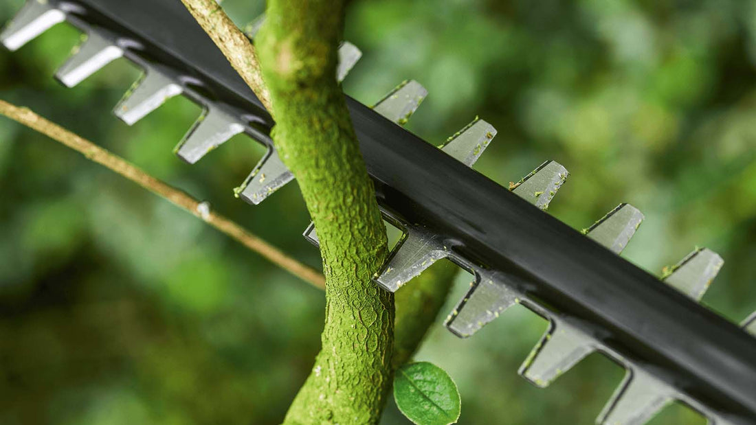 Mains Electric Hedge Trimmers Buy Online in Yorkshire, Lincolnshire, Nottinghamshire and Teesside