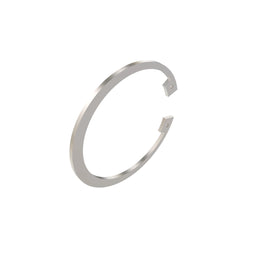 Snap Ring