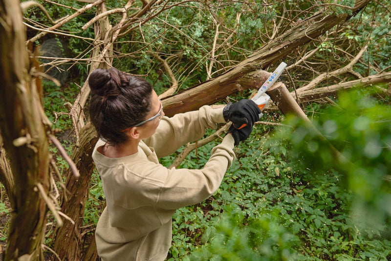STIHL GTA30 Cordless Pruner Set