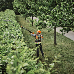STIHL HLA150 Cordless Extendable Shaft Long-reach Hedge Trimmer