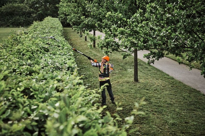 STIHL HLA150 Cordless Extendable Shaft Long-reach Hedge Trimmer