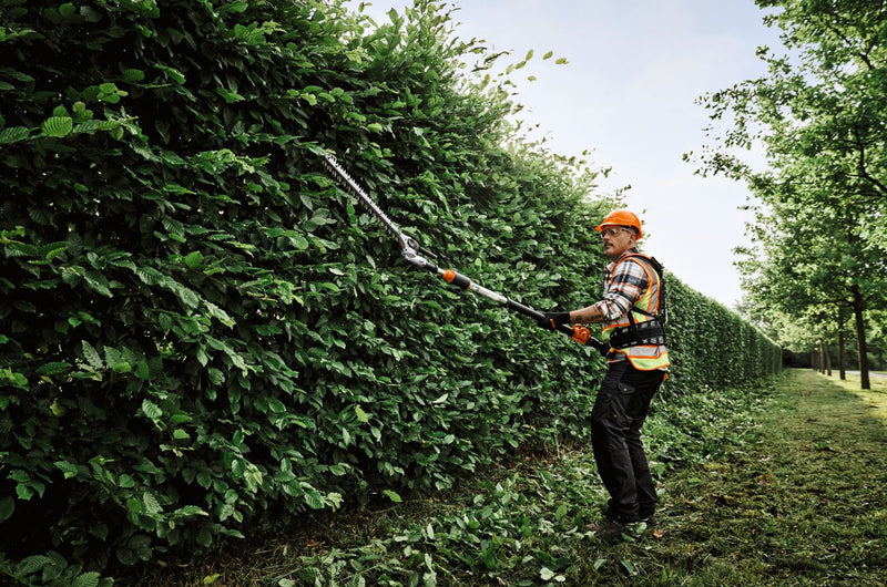 STIHL HLA150 Cordless Extendable Shaft Long-reach Hedge Trimmer