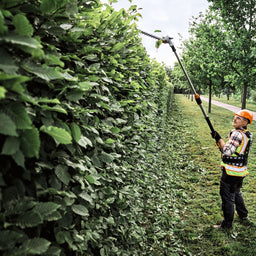 STIHL HLA150 Cordless Extendable Shaft Long-reach Hedge Trimmer