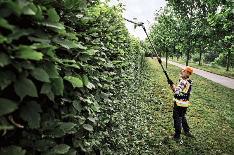 STIHL HLA150 Cordless Extendable Shaft Long-reach Hedge Trimmer