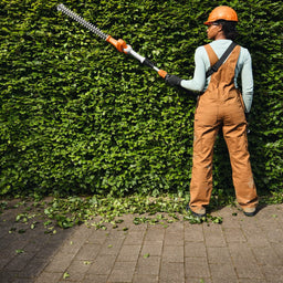 STIHL HLA40 Cordless Long Reach Hedge Trimmer