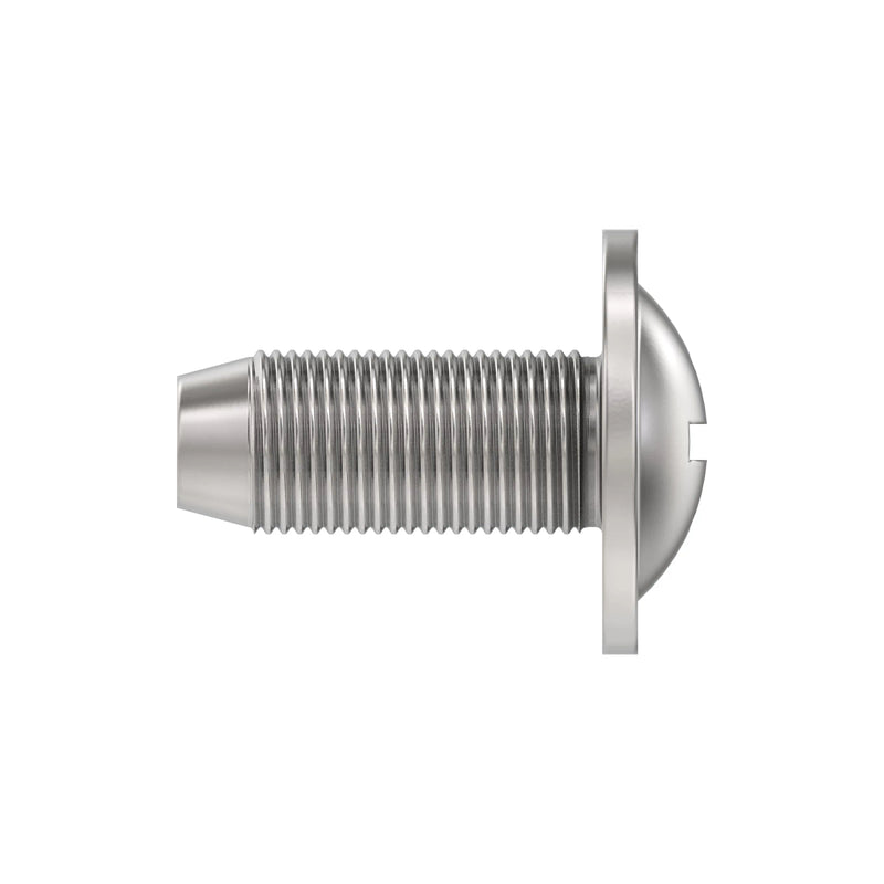 SCREW,SPECIAL