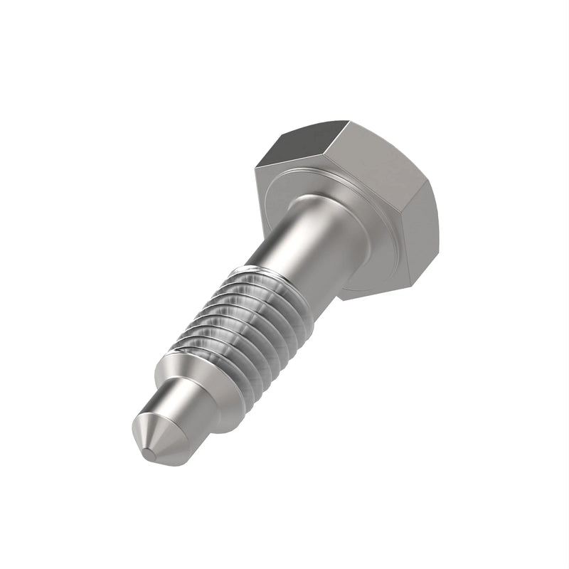 SCREW, SPECIAL