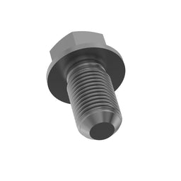 Cap Screw