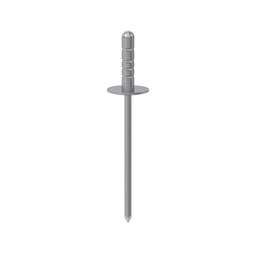 Rivet