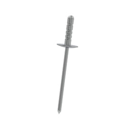 Rivet