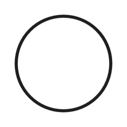 O-Ring
