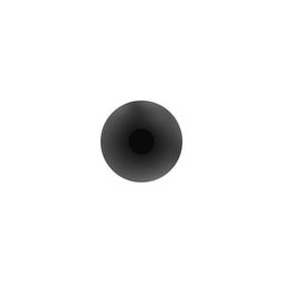 Rivet