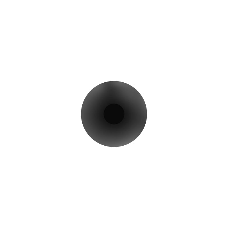 Rivet