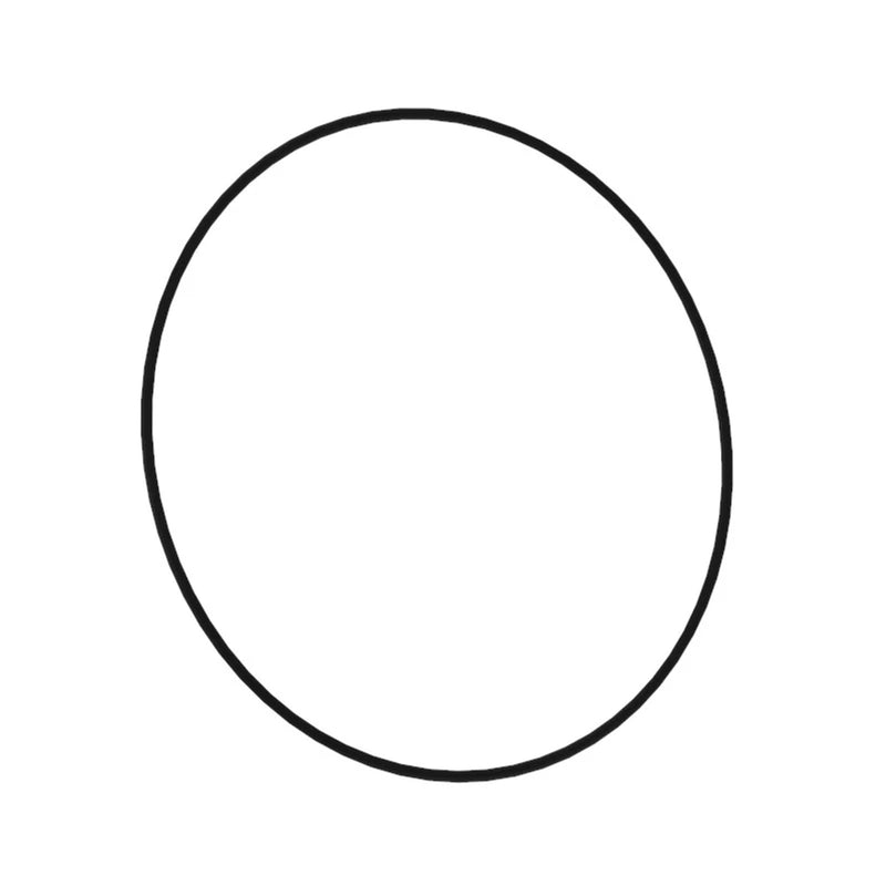 O-RING