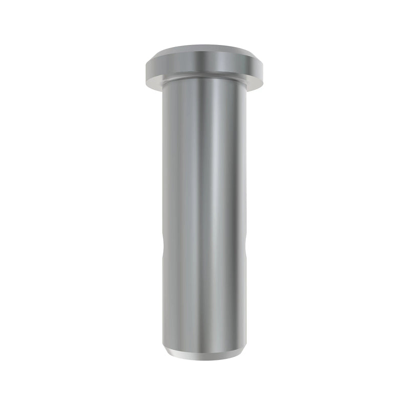 BOLZEN 8X19 MIT KOPF ZNC