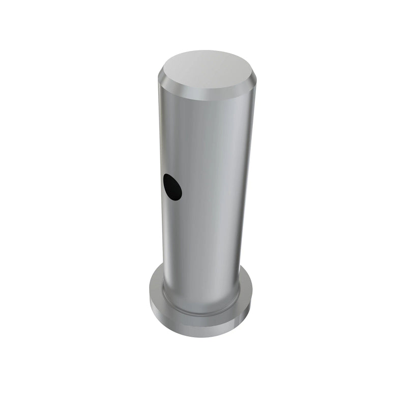 BOLZEN 8X19 MIT KOPF ZNC