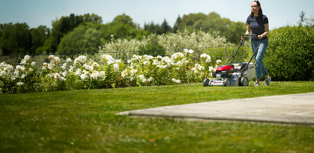 Best lawn mowers