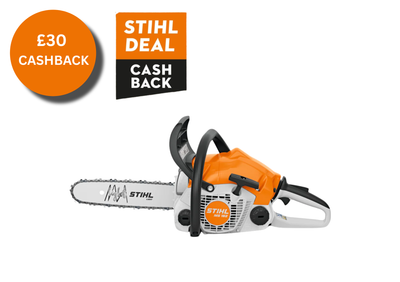STIHL MS162 Chainsaw