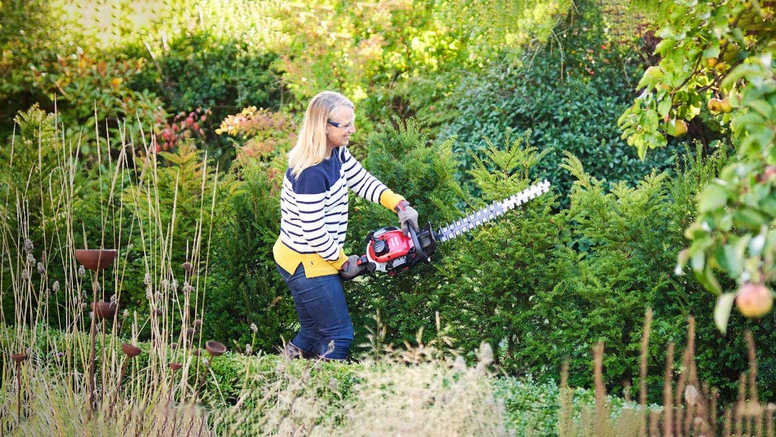 Mountfield Hedge Trimmers Buy Online in Yorkshire, Lincolnshire, Nottinghamshire and Teesside