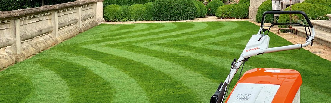 Petrol mowers with striping roller
