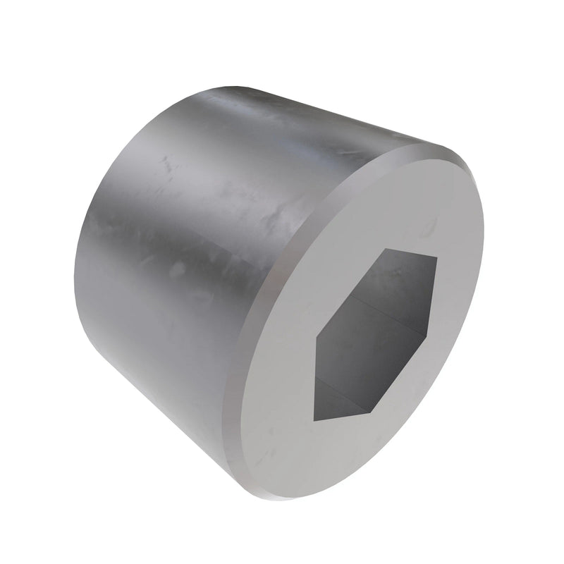Pipe Plug