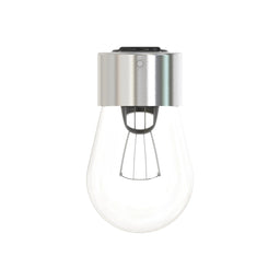 Bulb