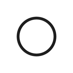 O-Ring