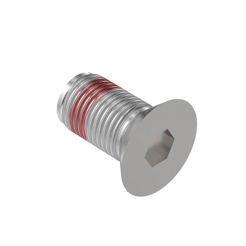 SELF-LOCKING SCREW, SPECIAL CAP