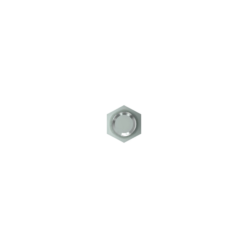 Cap Screw