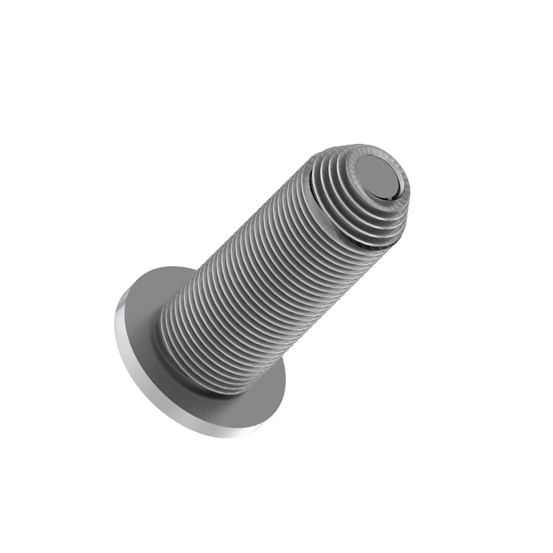 SCREW, SPECIAL