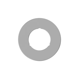 thrustwasher