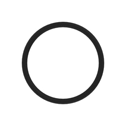 O-Ring