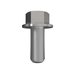 CAP SCREW, SPECIAL HEX FLANGED