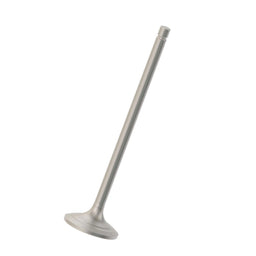 Intake Valve