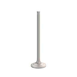 Intake Valve