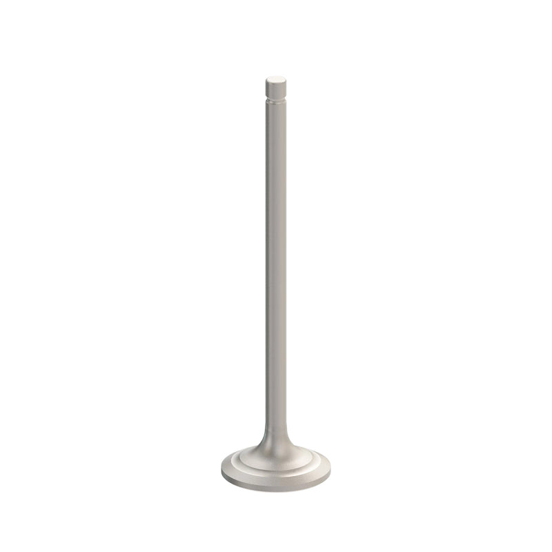 Intake Valve