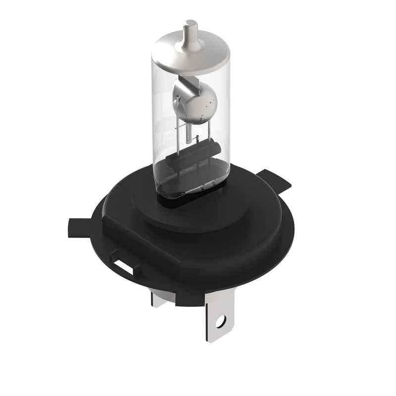 Bulb