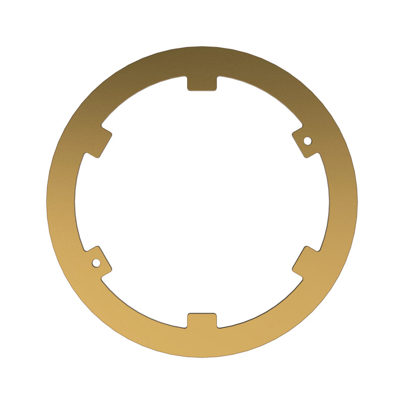 Clutch Plate