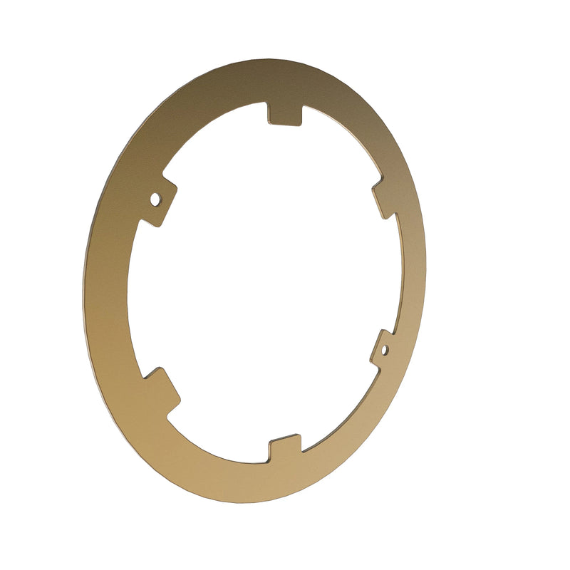 Clutch Plate