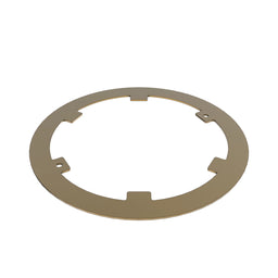 Clutch Plate