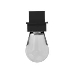 Bulb